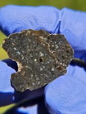 Meteorite**NWA 16484, Lunar Frag. Breccia**6.899 gram Endcut, Rare Blue Lunar picture