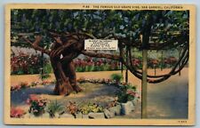 Famous Old Grapevine San Gabriel California CA Linen Postcard 1931 picture