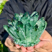 330G New Find Green Phantom Quartz Crystal Cluster Mineral Specimen Healing picture