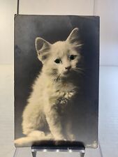 Vintage c. 1910’s Glass Eye Cat Post Card Antique Photo Card Animal picture