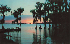 Cypress Gardens FL Florida, Sunset, Cypress Tree Silhouettes, Vintage Postcard picture