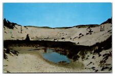 Indiana Dunes State Park, Chesterton, Indiana Postcard picture