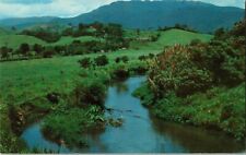 Puerto Rico El Yunque Rain Forest Herbert Miller Carib Country Scene Postcard picture