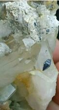 Anatase Combine With Chlorite Included Quartz Cluster With Unique Formation#131g picture