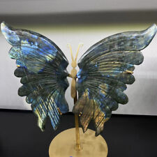 A pair Natural labradorite butterfly Wings skull Healing Statue Gift Decor + S picture