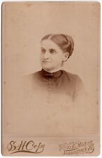 CIRCA 1890s CABINET CARD S.H. COPE GORGEOUS YOUNG LADY IN DRESS NORRISTOWN PA. picture