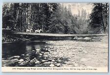 Seattle Washington Postcard John Chapman's Log Bridge Fork Stillaguamish c1940's picture