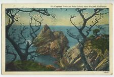 Cypress Trees on Point Lobos, near Carmel, California postcard A1 picture