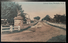 Vintage Postcard 1907-1915 Colonial Drive, Monticello, New York (NY) picture