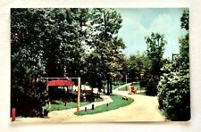 1957 Santa Claus Land Indiana Enchanted Trail Jack Beanstalk Postcard Vintage picture