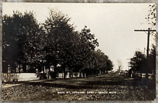 Main Street Looking East Waltz Michigan Small Town View 1913 Postcard RPPC 1236 picture