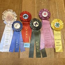 Equestrian Horse Show Ribbon Rosette Awards, Lot Of 6, Vintage 1980s picture