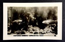 1940s Submarine Gardens Aquarium Catalina Islands California VTG RPPC Postcard picture