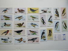 Swettenhams Tea 1958 Birds And Their Eggs Cards Card Variants (e30) picture