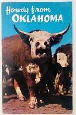 Vintage Oklahoma Cow Postcard Howdy from Oklahoma Hereford Cow picture