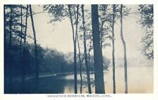 Vintage Postcard 1920's Saugatuck Reservoir Weston Connecticut CT picture