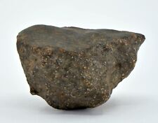 35.9g Winonaite Primitive Achondrite Meteorite - TOP METEORITE picture