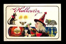 c1910 Halloween Postcard Witch & Cat  Mixing Magic Potion picture