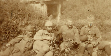 German WW1 Photo Austro Hungarian Soldiers In Field Hats Pose w/ Pet FOX  picture