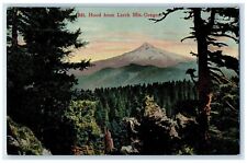 c1909 Mount Hood Larch Jungle Pine Trees Cliff Mountains Oregon Vintage Postcard picture