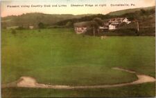 Postcard Pleasant Valley Golf Chesnut Ridge Albertype Connellsville PA D76 picture