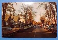 Van Buren Street in Nashville INDIANA Vintage Chrome Postcard picture