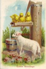 PRE-1907 EASTER GREETINGS 1906 embossed chicks at well with lamb picture
