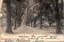 SAVANNAH GA - The Hermitage Postcard - udb (pre 1908) picture