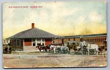 C.1910 ALLEGAN, MI MICHIGAN PERE MARQUETTE DEPOT Postcard P34 picture
