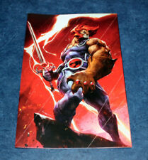 THUNDERCATS #2 ZH 1:15 FOC TAO variant 1st print DYNAMITE 1st app CALICA NM picture