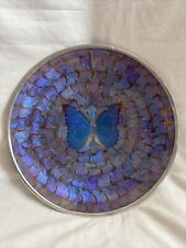 Huge 11.5” Vintage Blue Morpho Butterfly Taxidermy Aluminum Plate Wall Hanging picture