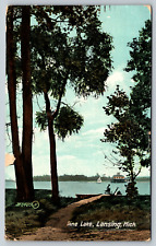 Pine Lake Lansing Michigan c1910s View Vintage Postcard picture