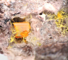 Wulfenite and Mimetite *Rowley Mine, Arizona* picture