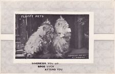 Fluffy Pets Cats Postcard Copyright 1901 H. I. Robbins Good Luck Attend You picture