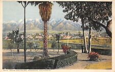 Pasadena California 1924 Postcard Snow and Palms  picture