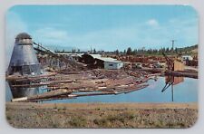 Saw Mill Southern Oregon Sugar Pine Logging Lumber Postcard picture