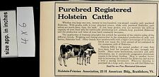 1913 Purebred Registered Holstein Cattle Livestock Vintage Print Ad 5584 picture