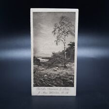 1912 Will's Tobacco Antique Photogravure Cigarette Card 5 The Birch Rowan & Pine picture