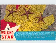 Postcard The Walking Star picture