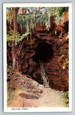 Postcard Hawaii Lava Tube Moses Stationery Co. WB  C249 picture