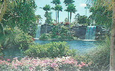 Garden of The Groves   Two Waterfalls     Freeport  Grand Bahama      Postcard picture