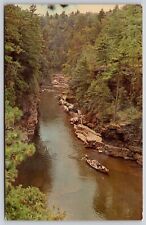 Ausable Chasm New York Boat Ride Rapids Forest River Rock Formation VNG Postcard picture