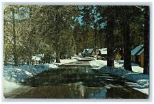c1950's Winter Snow Green Valley Lake Campground Dirt Road Cottages CA Postcard picture