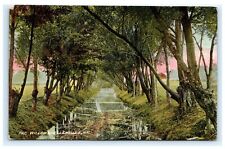 The Willows Ellenville NY Ulster County Catskills Postcard 1909 G3 picture