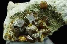 Andradite Garnet / 5.5cm Classic Mineral Specimen / Stanley Butte, Arizona picture