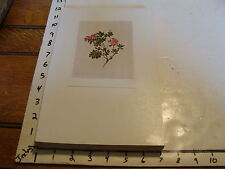 Vintage Flower Post Card mounted on board: rhododendron picture