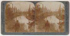 TEXAS SV - Goose Creek Oil Derricks - Underwood 1900s picture
