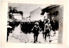 WWII German Prisoners in Yugoslavia Original Asst Press AP Photograph 8x11
