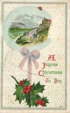 c1910 Country Village Embossed  Joyous Christmas  P252 picture