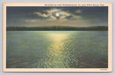 Moonlight on Lake Wallenpaupack Pa Linen Postcard No 5200 picture